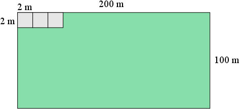 The rectangular field with a few 2 m by 2 m squares arranged side by side along an edge of the field.
