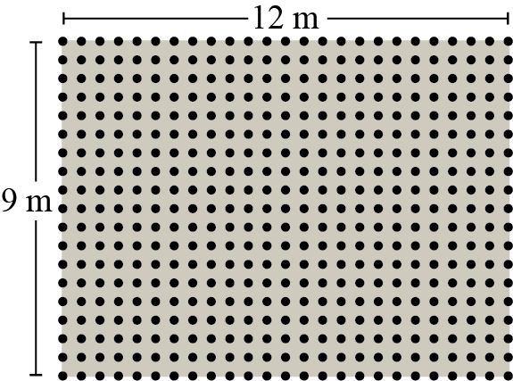 A large rectangular grid of many dots.